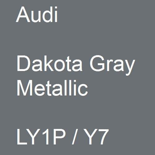 Audi, Dakota Gray Metallic, LY1P / Y7.